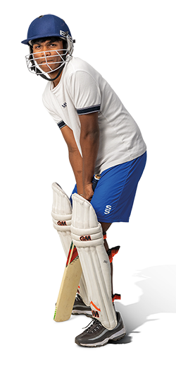 Cricket